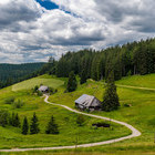 Stilles Muchenland, alte Schwarzwaldhöfe zwischen St. Blasien und Schluchsee