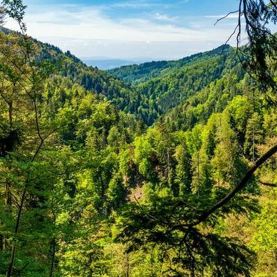 Wehraschlucht, sechste Etappe