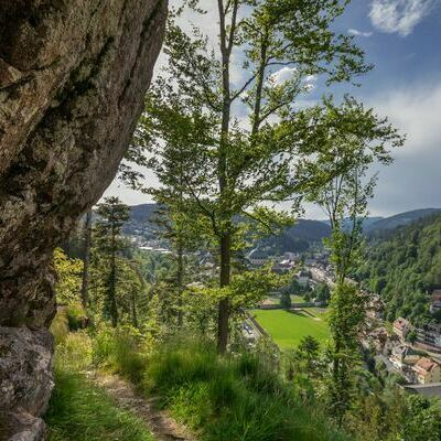 Luisenruhe - Blick zur�ck nach St. Blasien, f�nfte Etappe