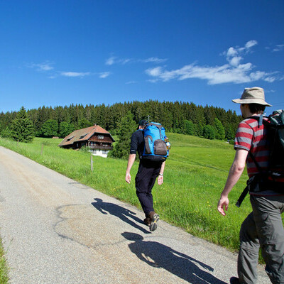 Weg nach Schluchsee-Fischbach, Shngen