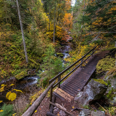 Brcke in der Wutachschlucht, Klaus Hansen