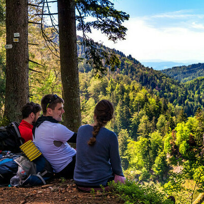 Rast in der Natur, Klaus Hansen