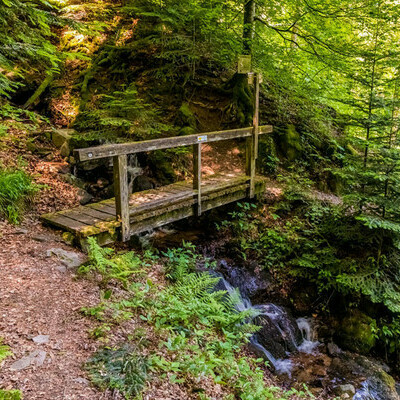 Brcke im Bannwald, Klaus Hansen