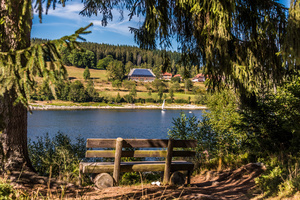 Rastbank am Schluchsee Rastbank am Schluchsee