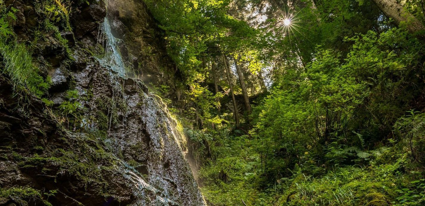 Am Waldbad Löffingen — photo 3