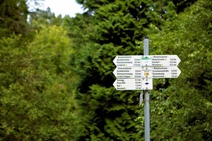 Der Weg ist frei