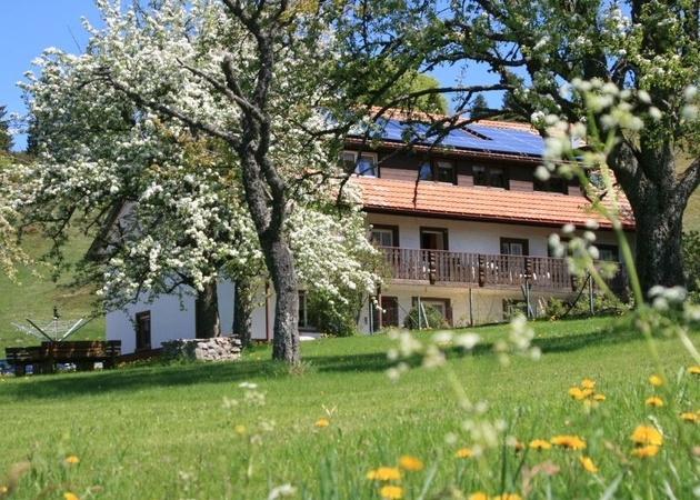 Haus Dorfschmiede Blick vom Garten Haus Dorfschmiede Blick vom Garten